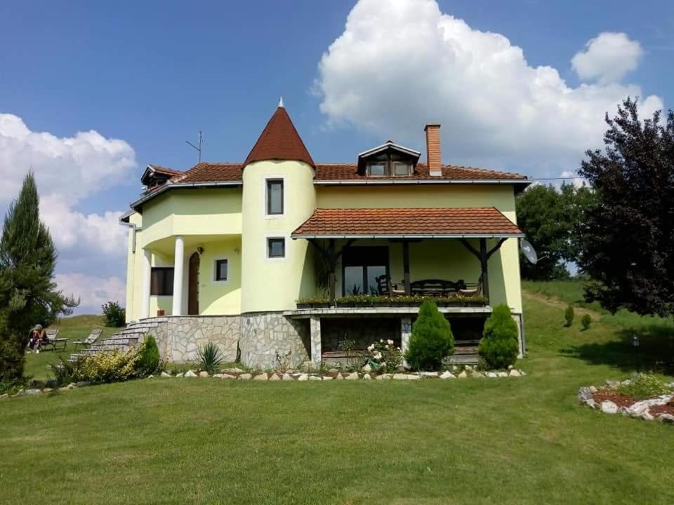 Holiday Home Rodjak Sa Sela Mionica Kültér fotó