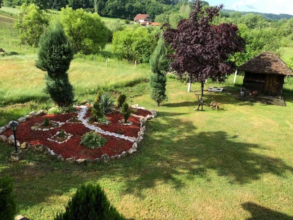 Holiday Home Rodjak Sa Sela Mionica Kültér fotó