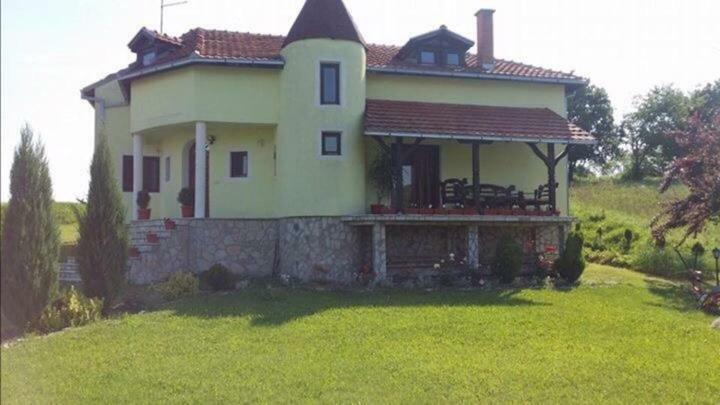 Holiday Home Rodjak Sa Sela Mionica Kültér fotó