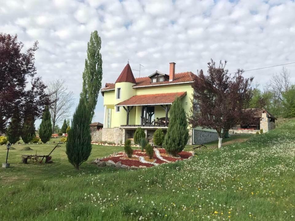 Holiday Home Rodjak Sa Sela Mionica Kültér fotó